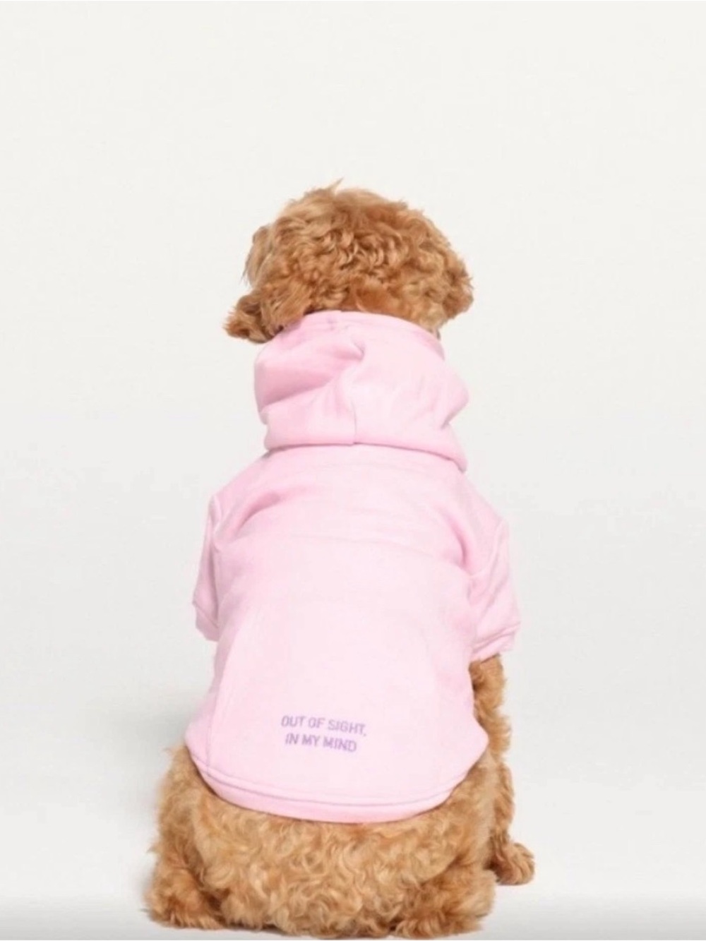 SKIMS PET HOODIE COTTON FLEECE BABY PINK OUT OF SIGHT IN MY MIND 2X 45-60lb